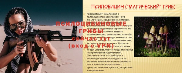 ПСИЛОЦИБИНОВЫЕ ГРИБЫ Баксан