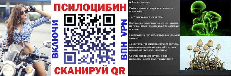 даркнет клад  Светлый  Галлюциногенные грибы GOLDEN TEACHER 